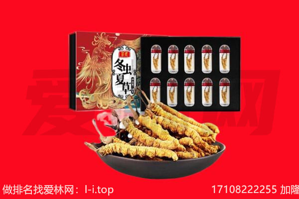 环江县回收虫草.jpg